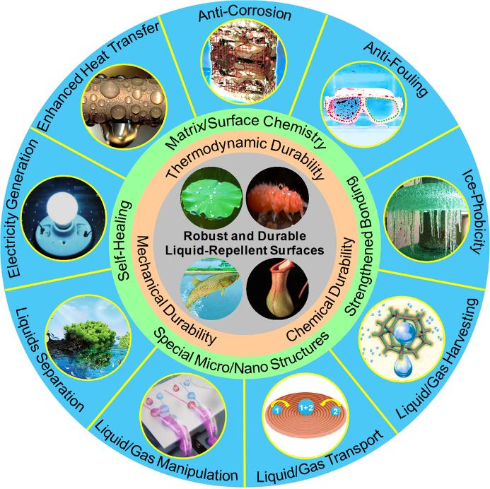 1666241355511098773.jpg 1666241355511098773.jpg