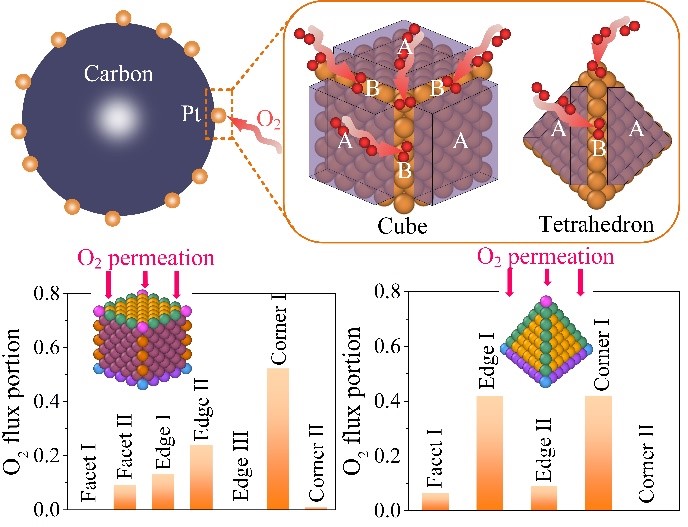 1608196237830001320.jpg 1608196237830001320.jpg
