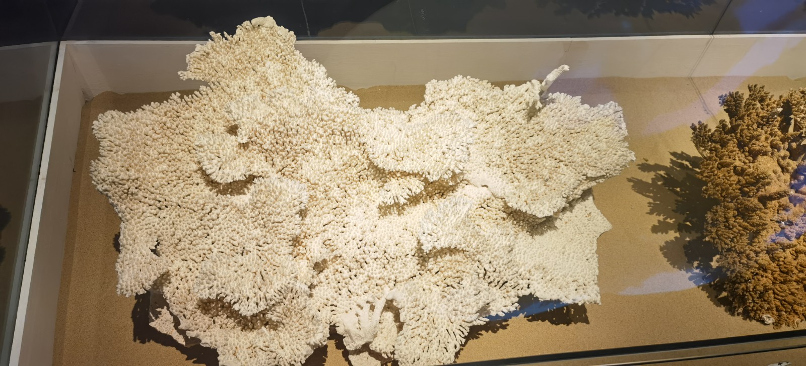 1635310714076012884.jpg 1635310714076012884.jpg