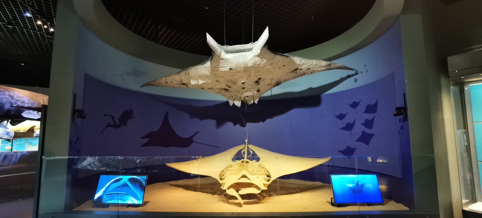 1635310713883073648.jpg 1635310713883073648.jpg