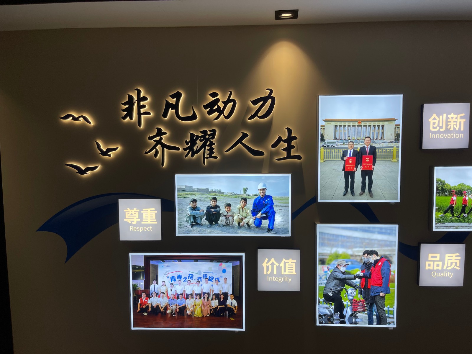 1629713043410002238.jpg 1629713043410002238.jpg