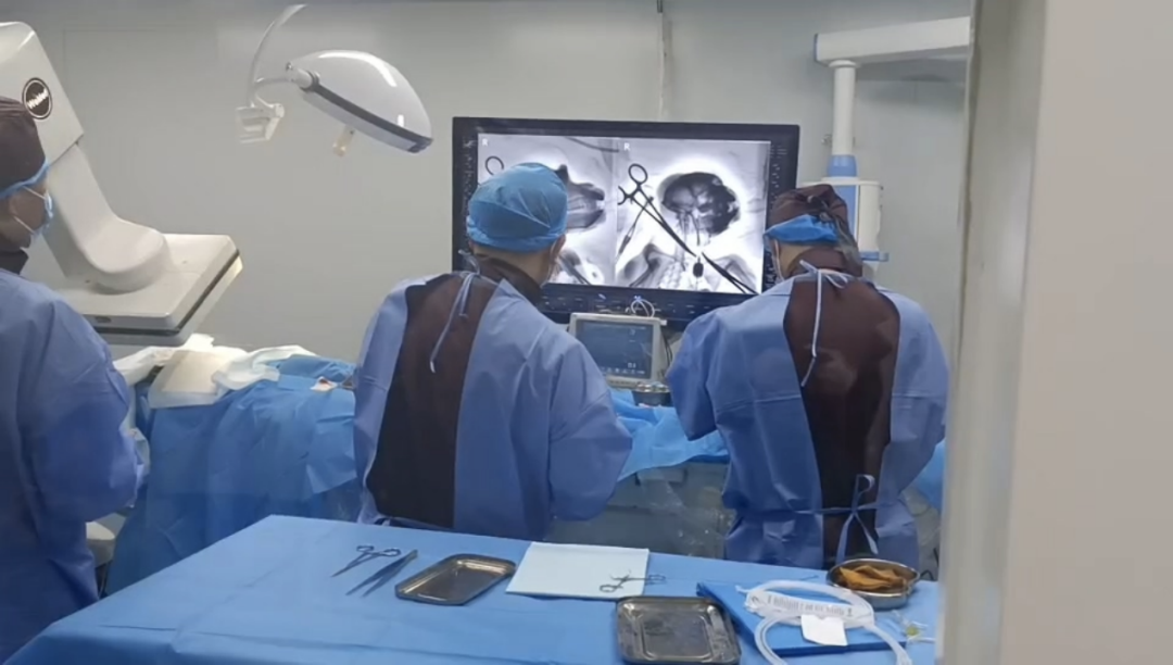 1688470027786046903.png 1688470027786046903.png