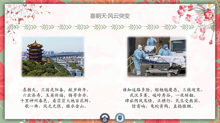 1587518604309045001.jpg 5.jpg