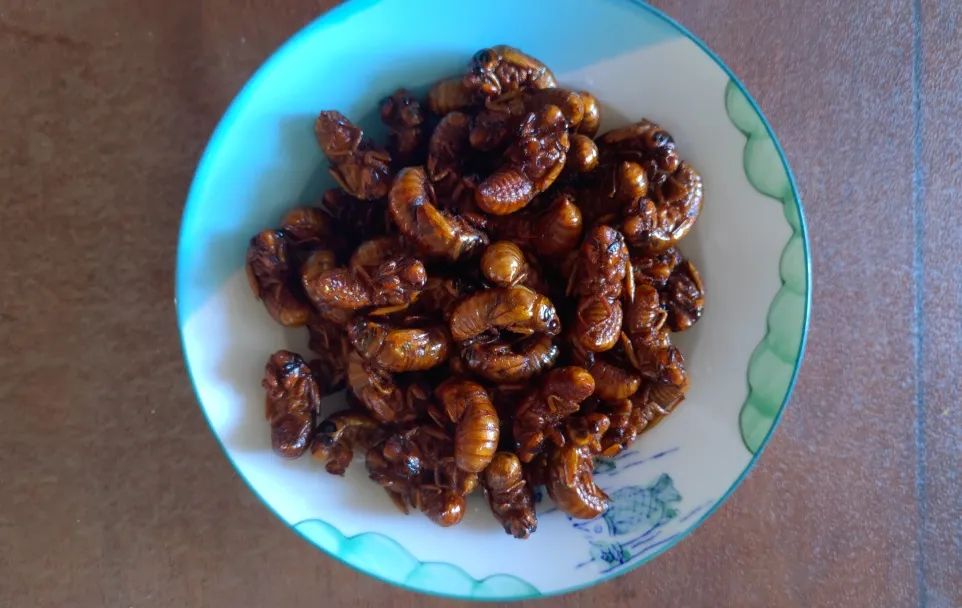 1583463618633053597.jpg WeChat Image_20200306105956.jpg