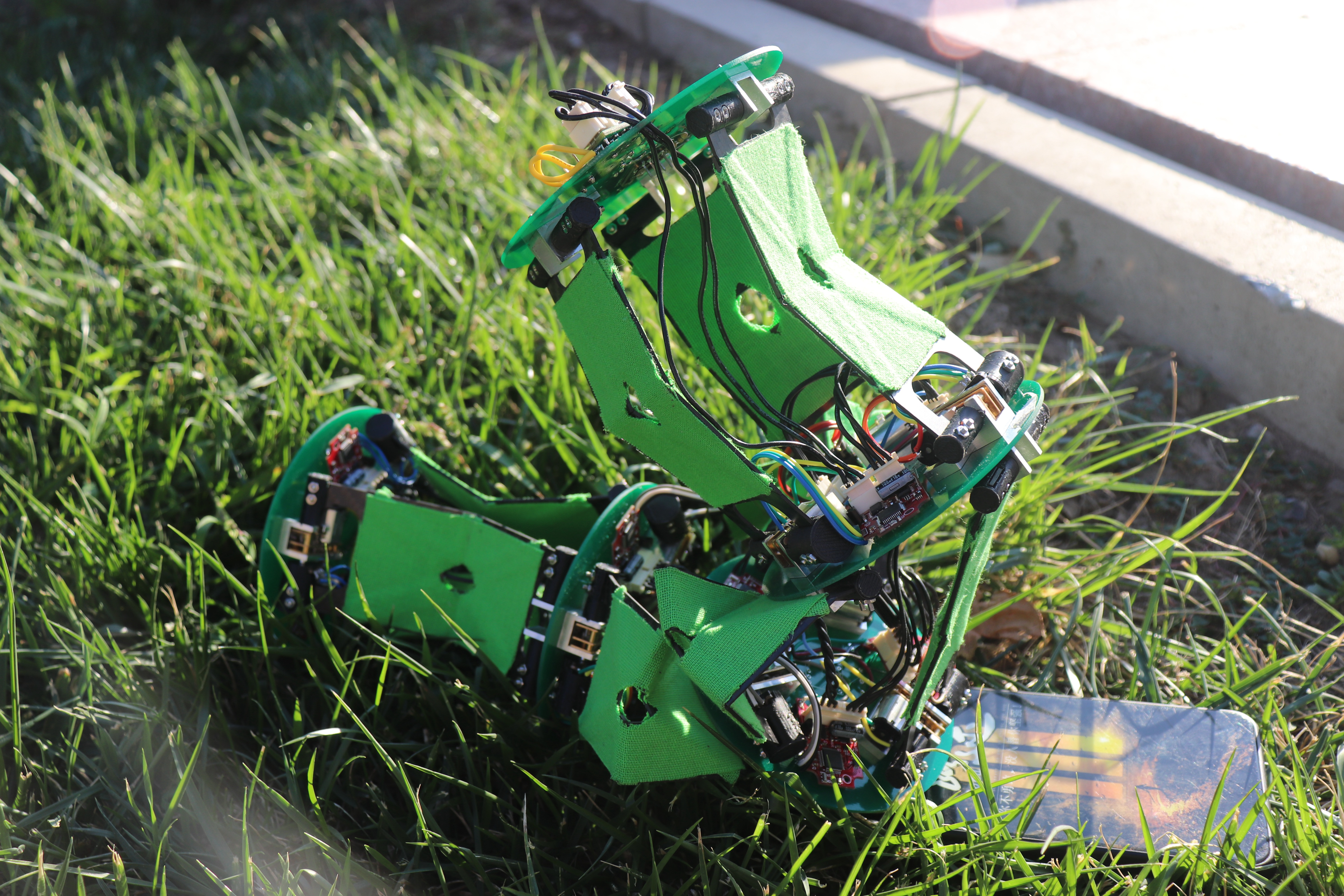 1571320250457016065.jpg 1571320250457016065.jpg