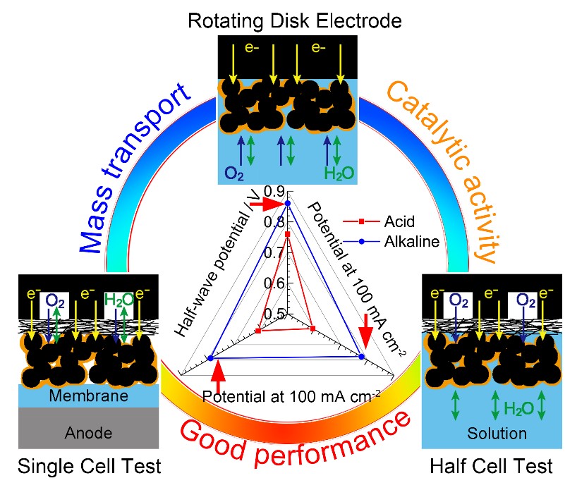 1630376155601054651.jpg 1630376155601054651.jpg