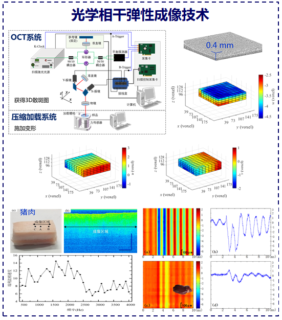 1595812635014060794.png 1595812635014060794.png