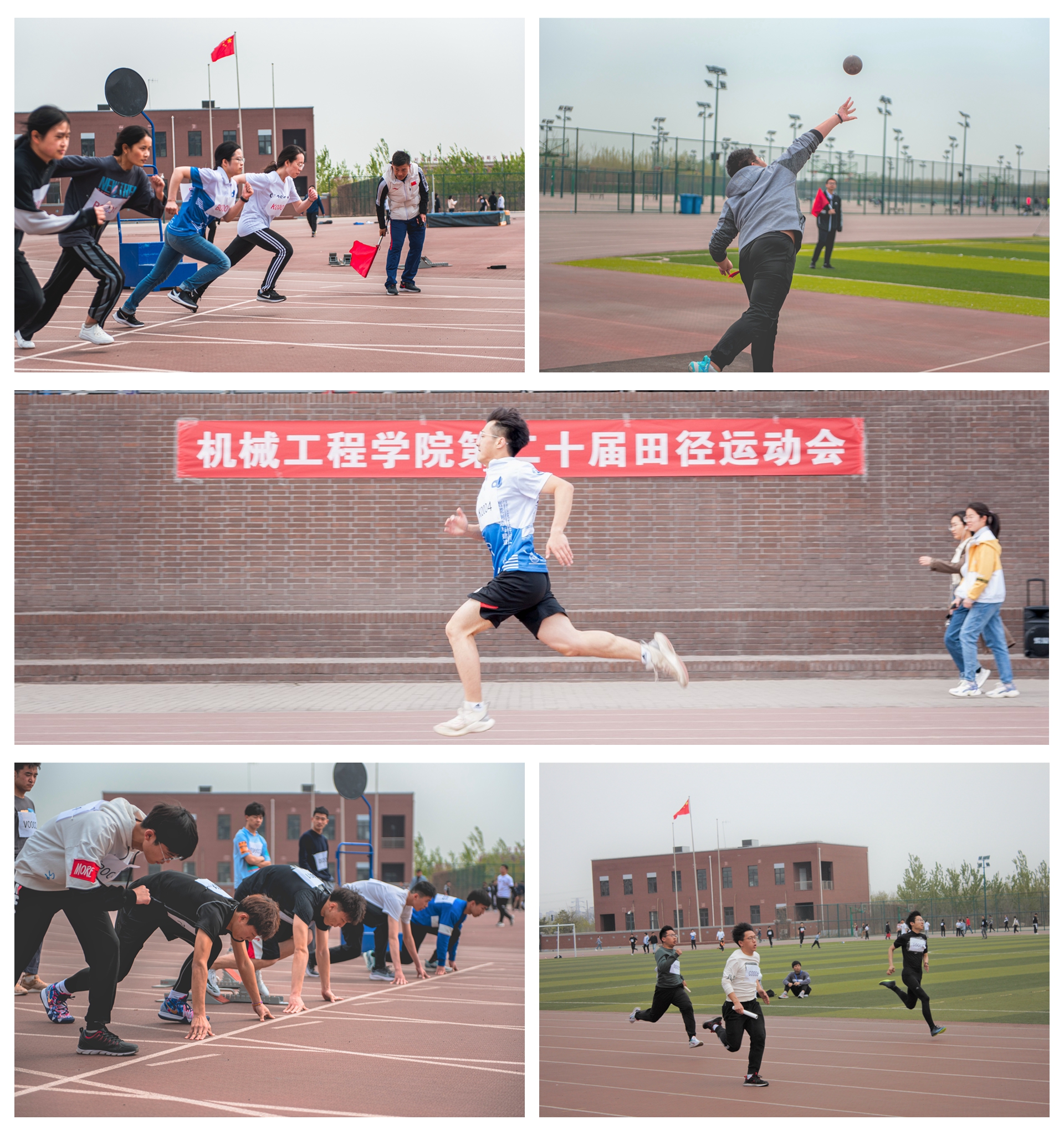 1619662704295059672.jpg 1619662704295059672.jpg