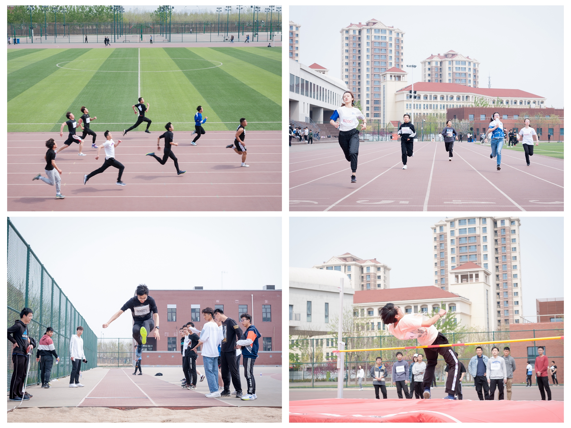 1619662727140096126.jpg 1619662727140096126.jpg