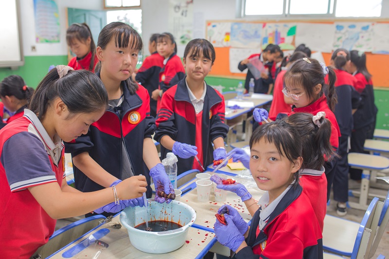 1605495653012095756.jpeg 实践课.jpeg