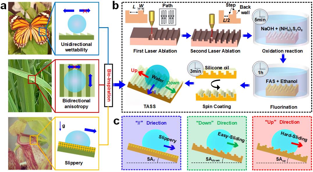 1659014744859012599.jpg 1659014744859012599.jpg