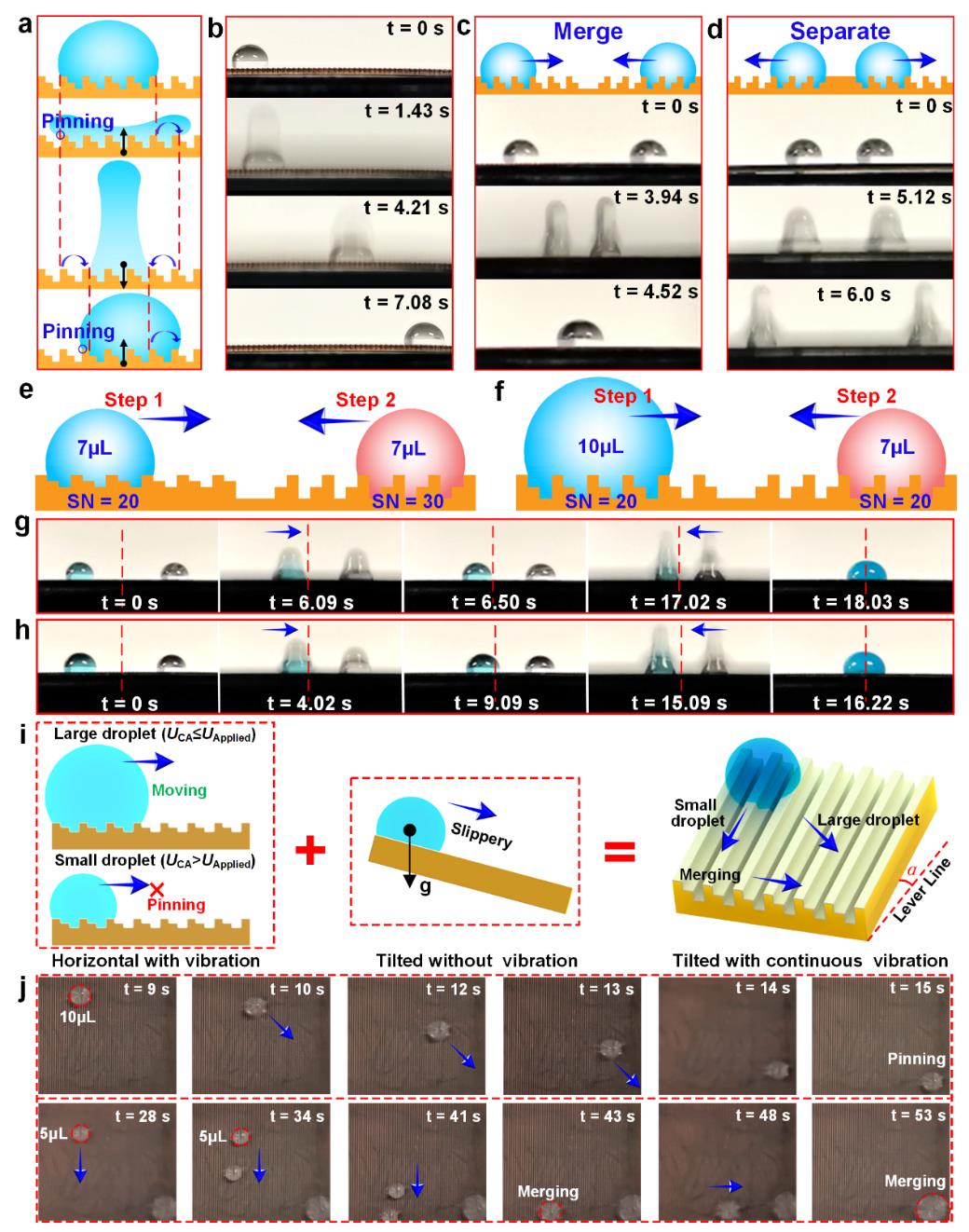 1659014882359031070.jpg 1659014882359031070.jpg