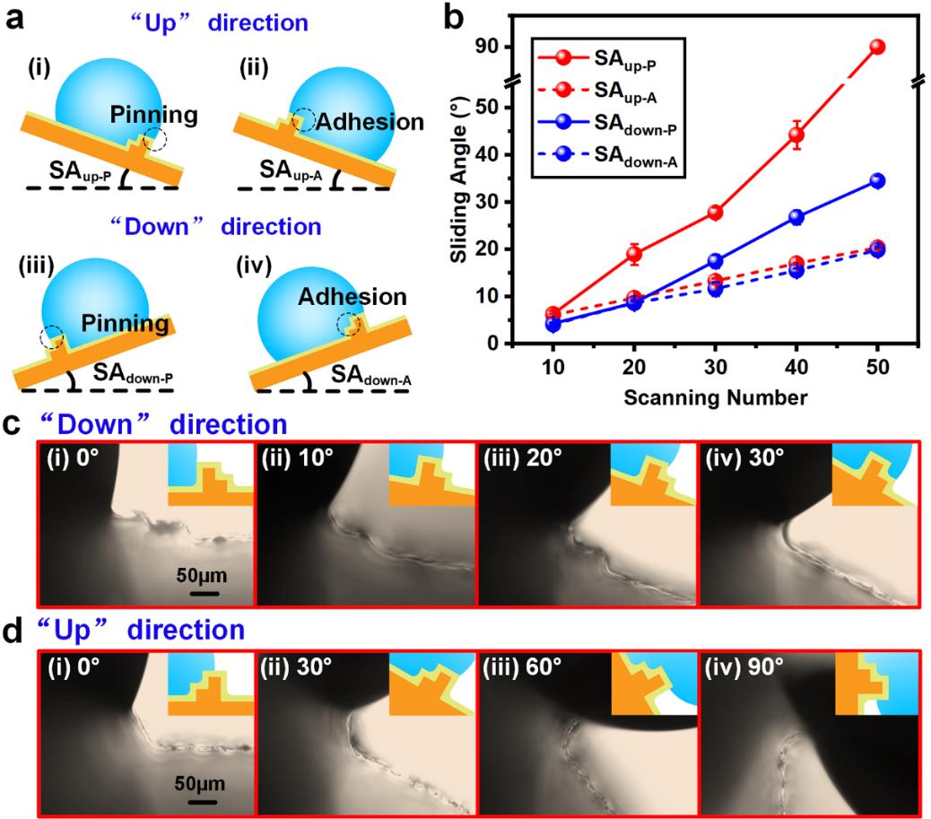 1659014855921026214.jpg 1659014855921026214.jpg