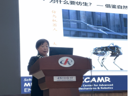 1711335049163039635.png image.png