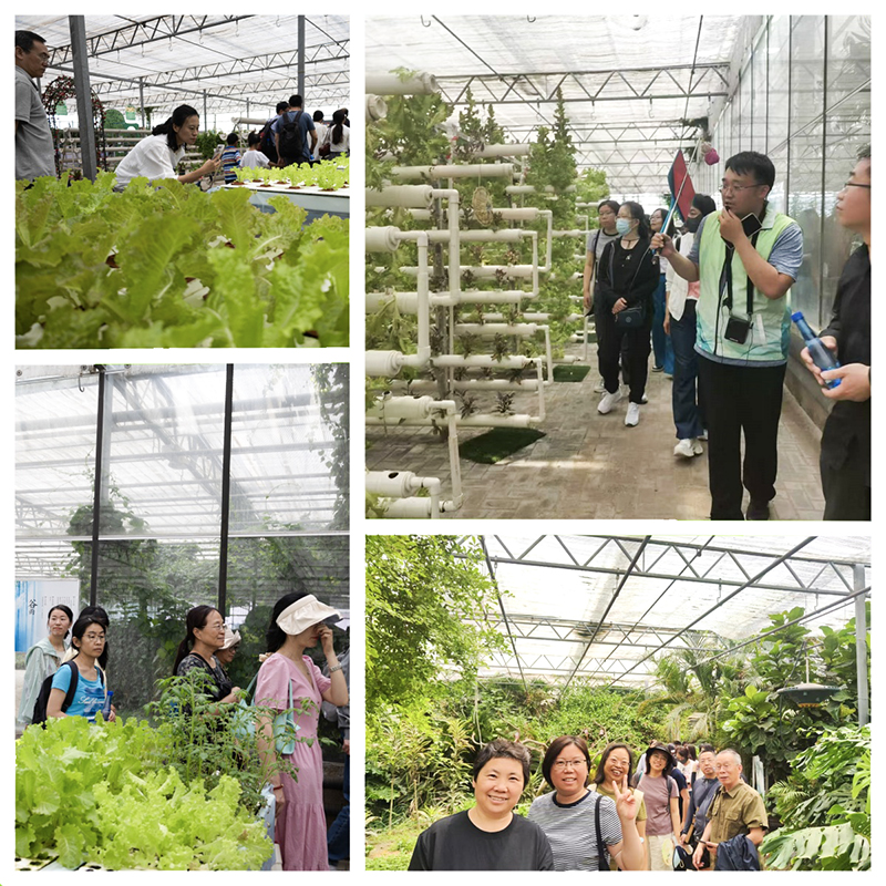 1749005195580008819.jpg 照片1 拷贝.jpg