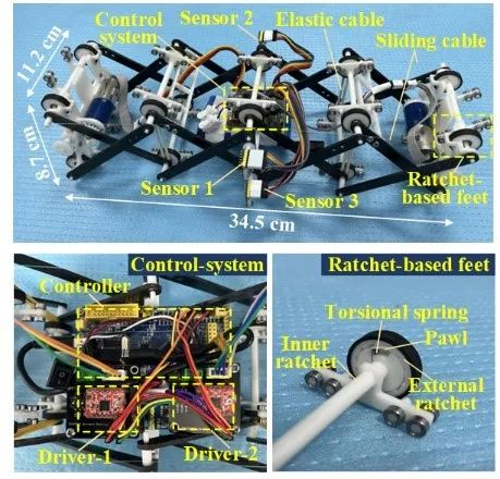 1662273944654043342.png 1662273944654043342.png